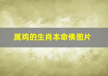 属鸡的生肖本命佛图片