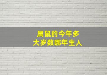 属鼠的今年多大岁数哪年生人