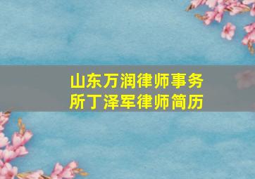 山东万润律师事务所丁泽军律师简历