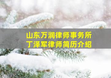 山东万润律师事务所丁泽军律师简历介绍