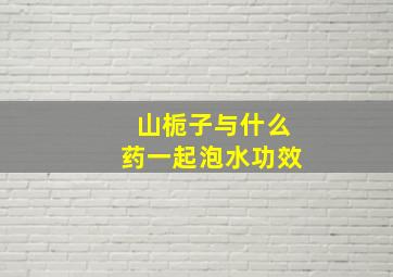 山栀子与什么药一起泡水功效