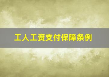 工人工资支付保障条例