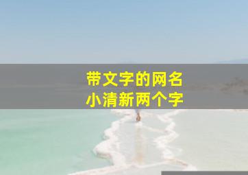 带文字的网名小清新两个字