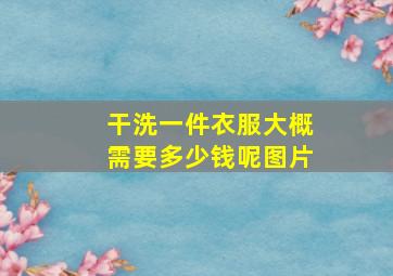 干洗一件衣服大概需要多少钱呢图片