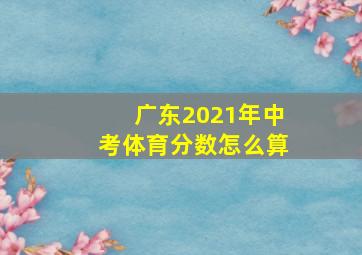 广东2021年中考体育分数怎么算