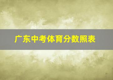 广东中考体育分数照表