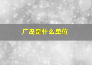 广岛是什么单位