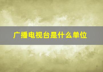 广播电视台是什么单位