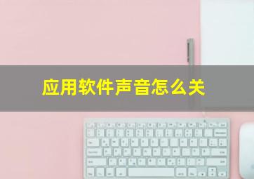 应用软件声音怎么关