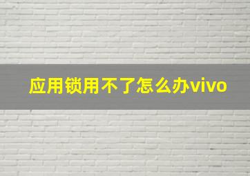 应用锁用不了怎么办vivo