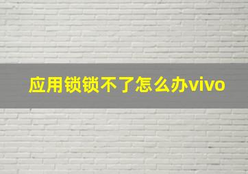 应用锁锁不了怎么办vivo