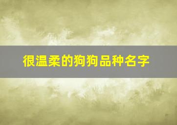 很温柔的狗狗品种名字