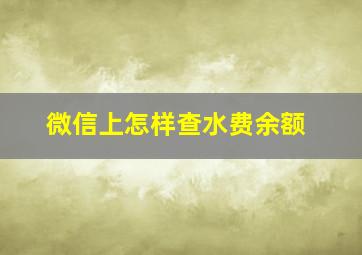 微信上怎样查水费余额