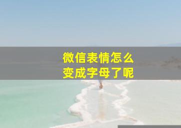 微信表情怎么变成字母了呢