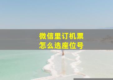 微信里订机票怎么选座位号