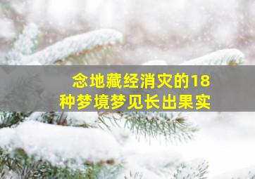 念地藏经消灾的18种梦境梦见长出果实