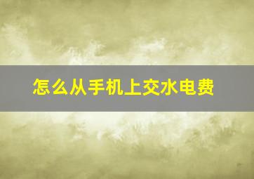 怎么从手机上交水电费