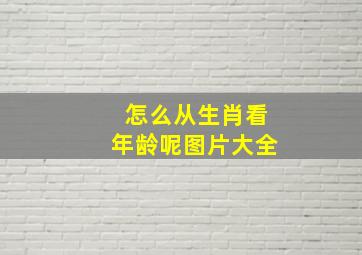 怎么从生肖看年龄呢图片大全