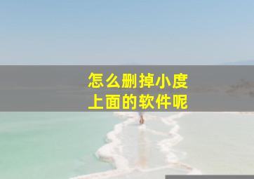 怎么删掉小度上面的软件呢