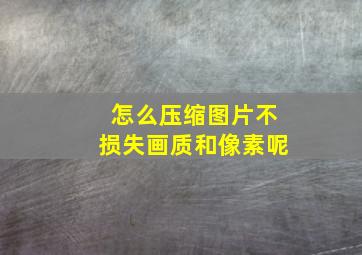 怎么压缩图片不损失画质和像素呢