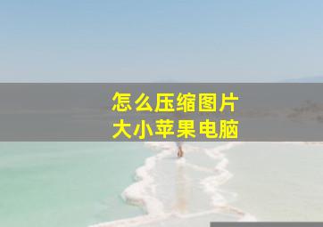 怎么压缩图片大小苹果电脑