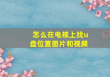 怎么在电视上找u盘位置图片和视频