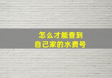 怎么才能查到自己家的水费号