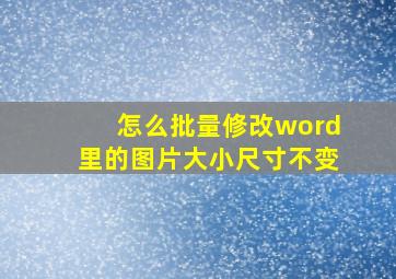 怎么批量修改word里的图片大小尺寸不变