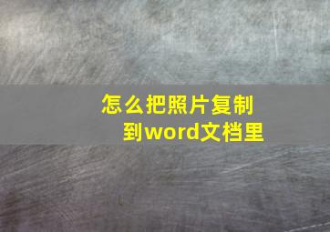 怎么把照片复制到word文档里