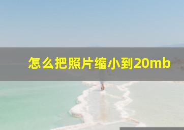 怎么把照片缩小到20mb