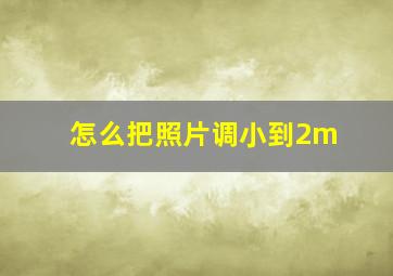 怎么把照片调小到2m