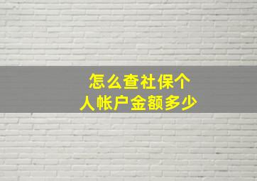 怎么查社保个人帐户金额多少