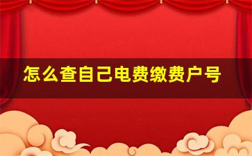 怎么查自己电费缴费户号