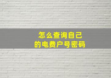 怎么查询自己的电费户号密码