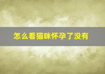 怎么看猫咪怀孕了没有