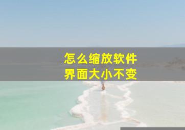 怎么缩放软件界面大小不变