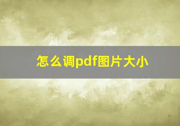 怎么调pdf图片大小