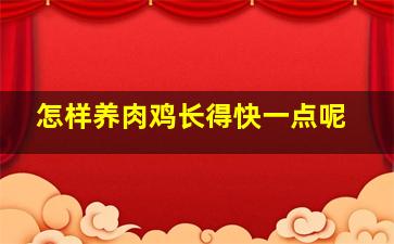 怎样养肉鸡长得快一点呢