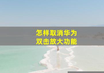 怎样取消华为双击放大功能