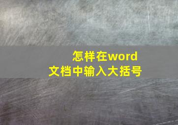 怎样在word文档中输入大括号