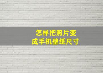 怎样把照片变成手机壁纸尺寸