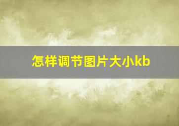 怎样调节图片大小kb