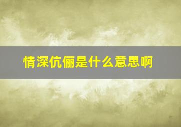 情深伉俪是什么意思啊