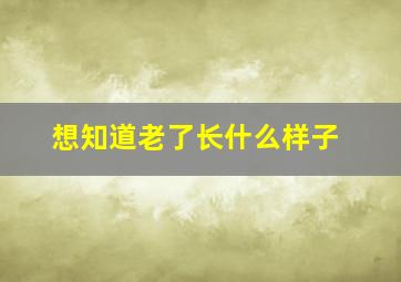 想知道老了长什么样子