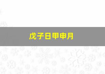 戊子日甲申月