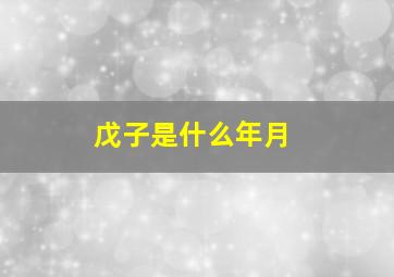 戊子是什么年月