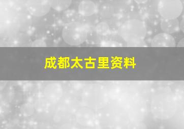 成都太古里资料