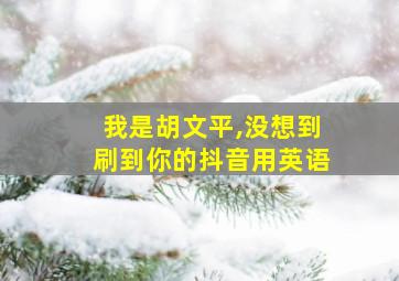 我是胡文平,没想到刷到你的抖音用英语