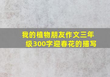 我的植物朋友作文三年级300字迎春花的描写