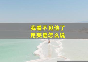 我看不见他了用英语怎么说